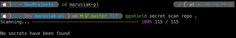 ggshield manual scan